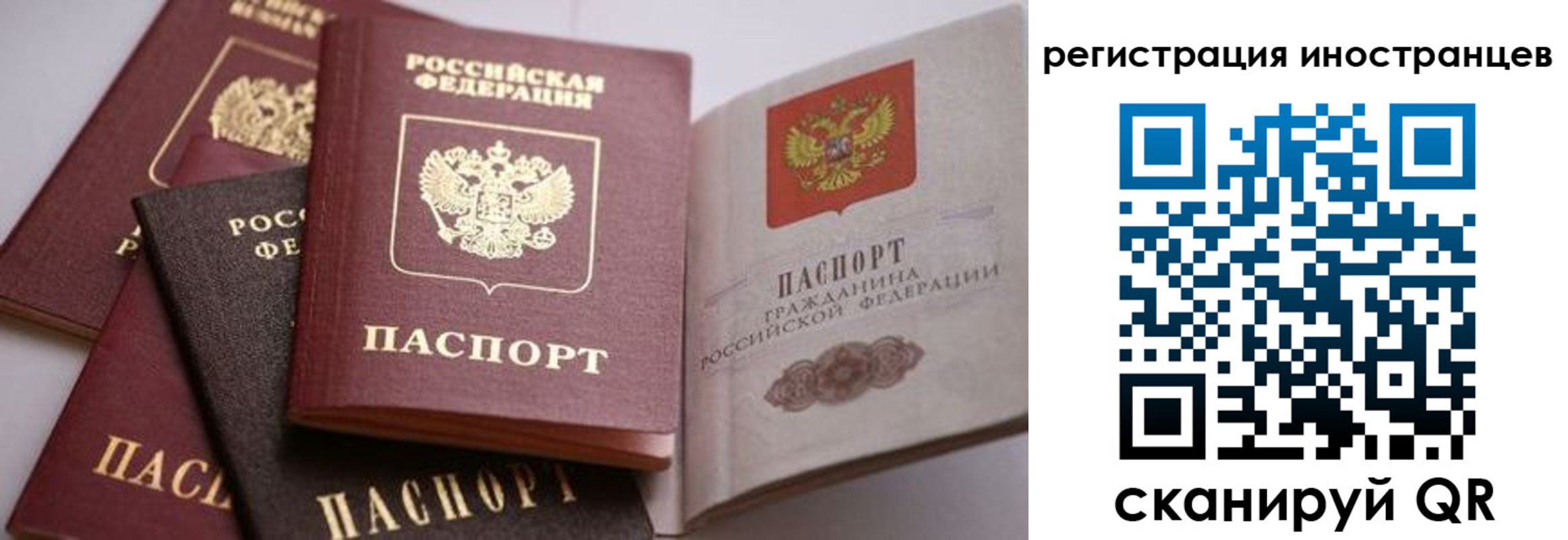 прописка штамп в Шилке