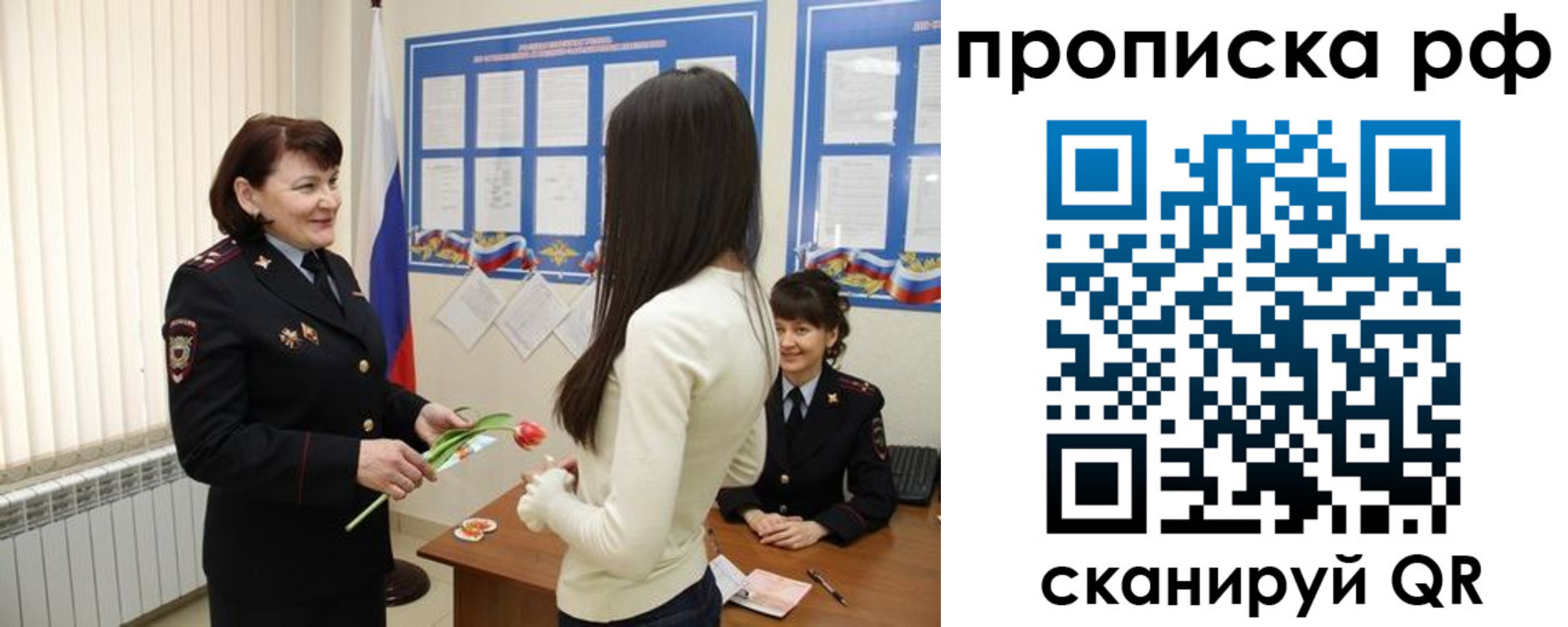 прописка в квартире в Шилке
